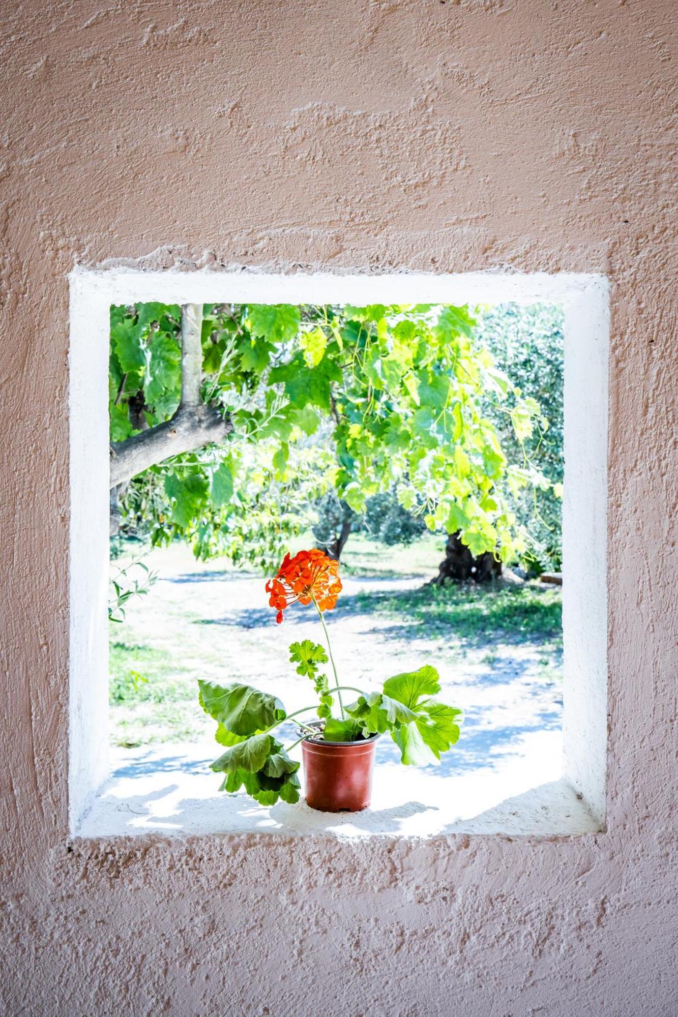 Eleonora'S Villa Skopelos Buitenkant foto